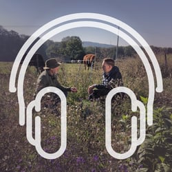 NL_Podcast_Cover_Feld-1