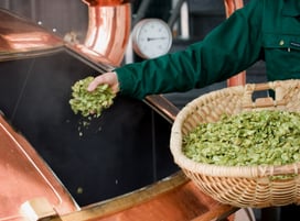 Hopfenzugabe