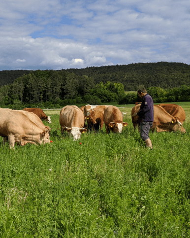 NL_Web_Einklinker_EZOEB-Bauern_386x483_Heldrich01