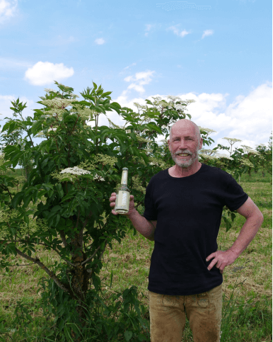 biobier.de Ladnwirte Contentseite Samberger Holunderhochkant 386x483 