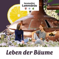 IM-SUDHAUS-collage-2510214