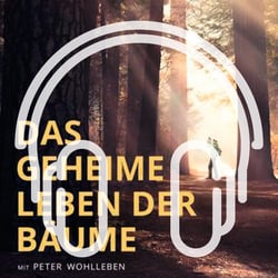 Podcast_Cover_Leben der Baeume-1
