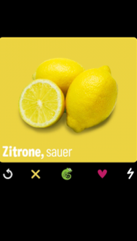now-shk-zeitleiste