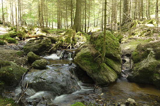 BioKristall-ist-urspruenglich-natuerlich