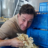 Bio-Kristall-Bio-Mineralwasser-Schorle-Apfel-Holunder-Landwirt