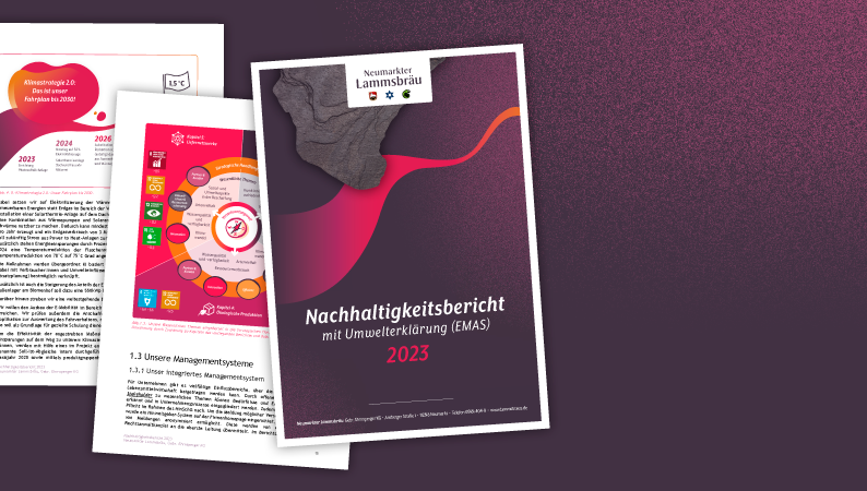 NL_Grafiken_794x450_NHB2023_links
