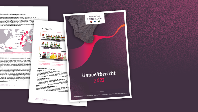 NL_Grafiken_794x450_Umweltbericht2022-li